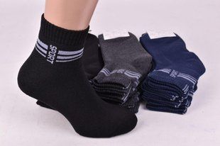 Носки мужские "Житомир" МАХРА COTTON (Арт. AK1036) | 12 пар