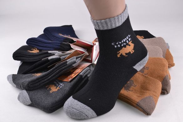 Шкарпетки Підліток МАХРА (A128) | 12 пар