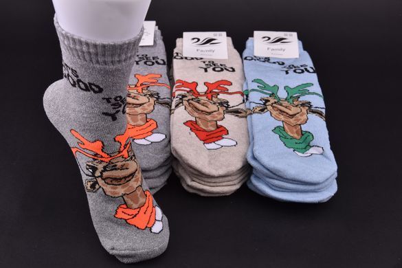 Носки женские "ЖИТОМИР" COTTON Махра (Арт. AK302) | 12 пар