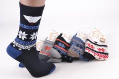 Жіночі шкарпетки МАХРУ "Cotton" (Арт. NV2050/35-38) | 5 пар