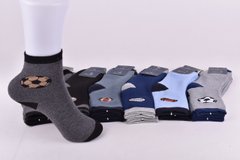 Шкарпетки дитячі на хлопчика "Фенна" МАХРА ХЛОПОК (Арт. FEC618-10/20-25) | 12 пар