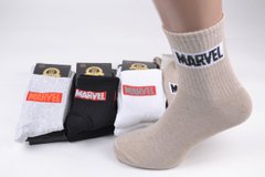 Чоловічі шкарпетки "MARVEL" COTTON (Арт. PT1205) | 12 пар