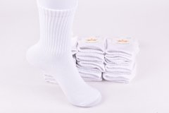 Шкарпетки жіночі Білі "ЖИТОМИР" COTTON (Арт. AK790) | 12 пар