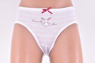 Трусы детские на девочку COTTON (Арт. SL1245/L) | 10 шт.