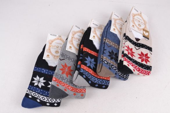 Жіночі шкарпетки МАХРУ "Cotton" (Арт. NV2050/35-38) | 5 пар