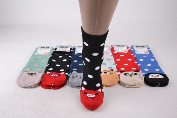 Жіночі шкарпетки з малюнком "COTTON" (SL9311) | 12 пар