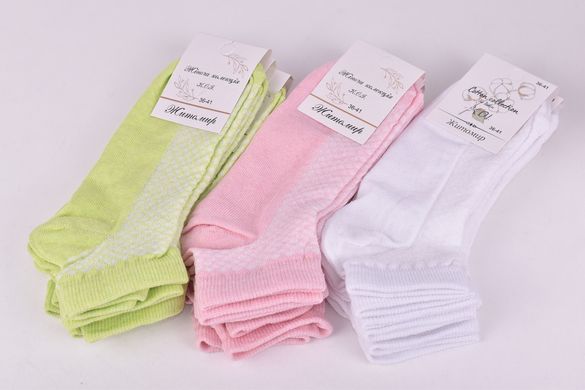 Шкарпетки жіночі "Житомир" бавовна Сітка (Арт. OAM280) | 12 пар