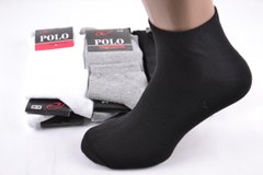 Чоловічі занижені шкарпетки "Polo" Cotton (Арт. Y516/1) | 12 пар