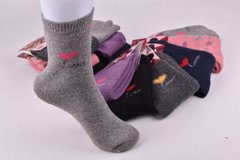 Шкарпетки жіночі "Алія" Верблюжа Вовна (Арт. ALB409) | 12 пар