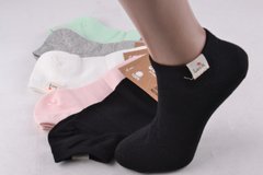 Жіночі шкарпетки занижені "Cotton" (Арт. NDX875/35-38) | 5 пар