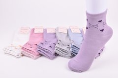 Шкарпетки жіночі "Фенна" ХЛОПОК (Арт. FEZB50-6) | 12 пар