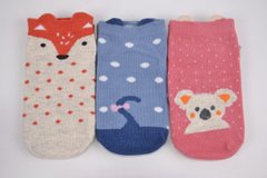 Шкарпетки дитячі з малюнком "ХЛОПОК" (Арт. D358-1/15/M) | 12 пар