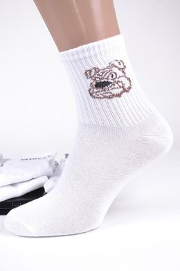 Мужские носки с надписью COTTON (Арт. PT1591) | 12 пар