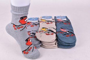 Носки женские "ЖИТОМИР" COTTON Махра (Арт. AK1037) | 12 пар