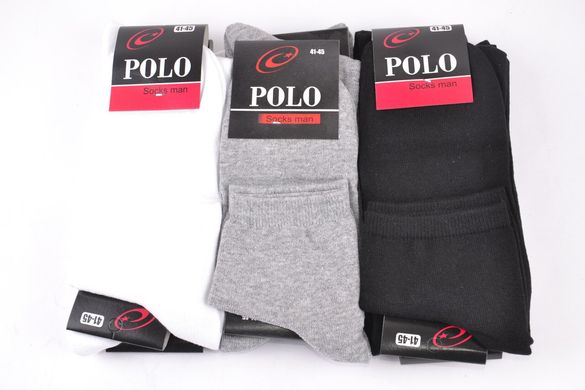 Мужские заниженные носки "Polo" Cotton (Арт. Y516/1) | 12 пар