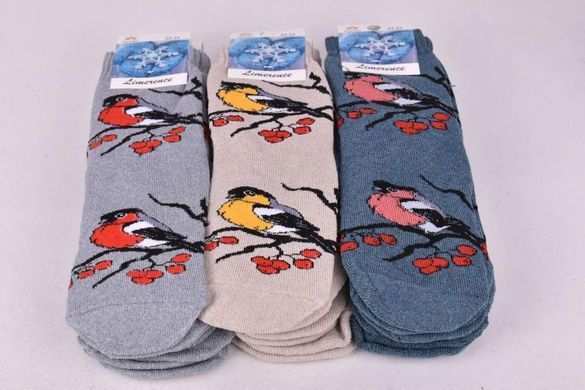 Носки женские "ЖИТОМИР" COTTON Махра (Арт. AK1037) | 12 пар