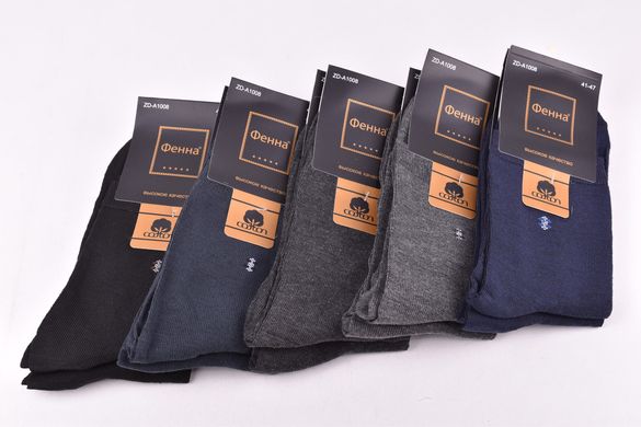 Шкарпетки чоловічі "Фенна" бавовна (Арт.FEA1008-1) | 10 пар