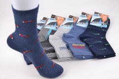 Шкарпетки підліткові на хлопчика "AURA" Cotton (Арт. FY6519) | 30 пар