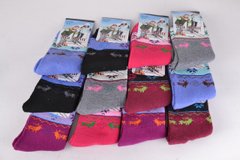 Шкарпетки підліток на дівчинку "Махра" р.35-40 (C951-2) | 12 пар