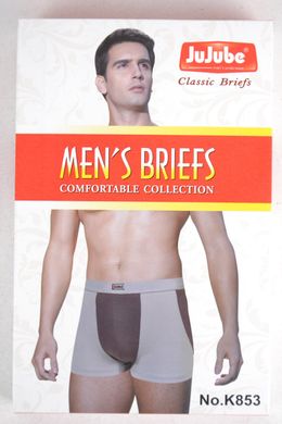Боксери чоловічі "Mens Briefs" (K853) | 12 шт.