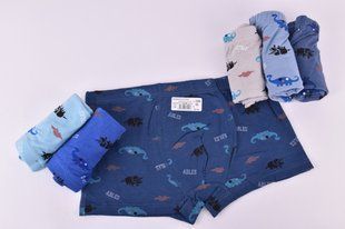 Трусы-боксеры детские COTTON (Арт. SL1202/XL) | 10 шт.
