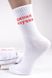 Жіночі шкарпетки з написом (Арт. PT1594) | 12 пар