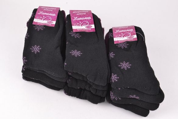 Жіночі шкарпетки "Житомир" МАХРА (арт. OK055/6) | 12 пар