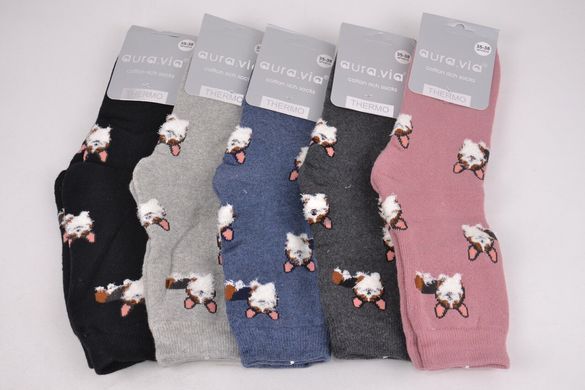 Жіночі шкарпетки "AURA" THERMO Cotton (арт. NPV5516) | 30 пар