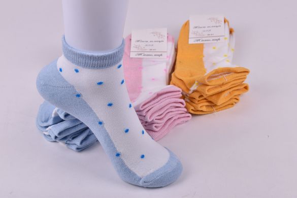 Шкарпетки жіночі "Житомир" ХЛОПОК (Арт. OAM118) | 12 пар