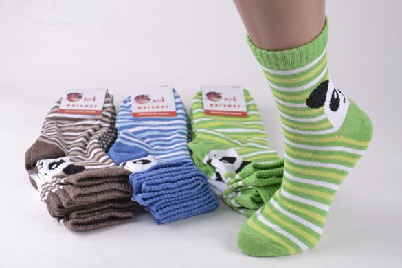 Жіночі Бавовняні шкарпетки "ЖИТОМИР" (OAM1099) | 12 пар