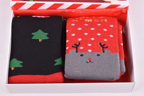 Шкарпетки жіночі в подарунковій упаковці МАХРА бавовни (Арт. Y110/2) | 2 пари