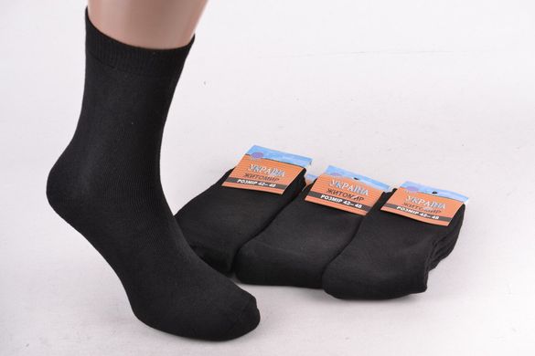 Шкарпетки чоловічі "Житомир" МАХРА Cotton (B201) | 12 пар