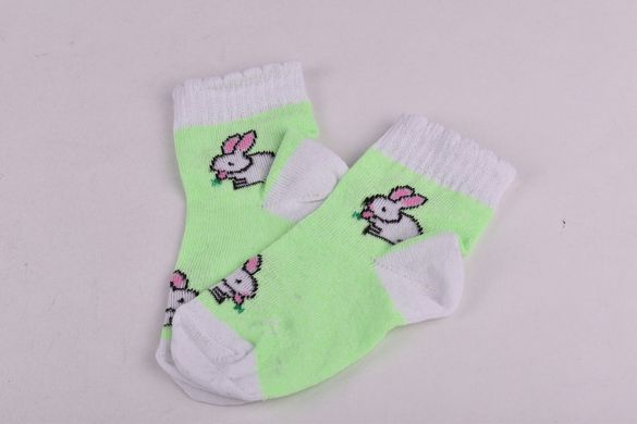 Шкарпетки дитячі з малюнком "Житомир" бавовна (Арт. OAM339) | 12 пар
