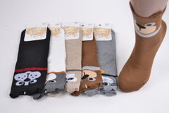 Жіночі шкарпетки "Золото" ХЛОПОК (Арт. C583-6) | 10 пар