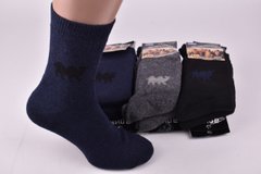 Шкарпетки чоловічі "Алія" ШЕРСТЬ (Арт. ALA606) | 12 пар