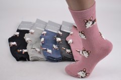 Жіночі шкарпетки "AURA" THERMO Cotton (арт. NPV5516/35-38) | 5 пар