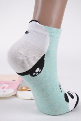 Жіночі шкарпетки "AURA" Cotton (Арт. NDP6223) | 30 пар