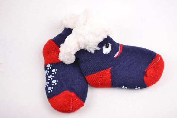 Дитячі шкарпетки на хутро з гальмами (Арт. C301-2/12-24) | 6 пар