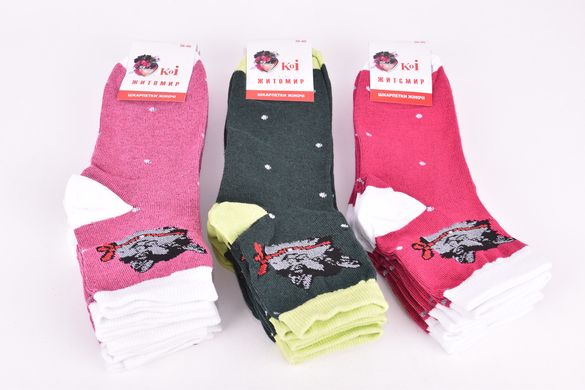 Шкарпетки жіночі "Житомир" ХЛОПОК (Арт. OAM222) | 12 пар