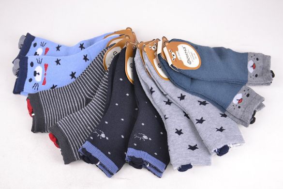 Дитячі термо-шкарпетки на хлопчика МАХРА бавовна (FEC3353/20-25) | 10 пар