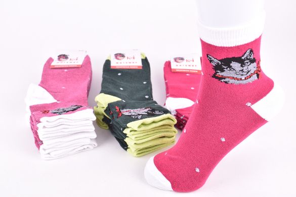 Шкарпетки жіночі "Житомир" ХЛОПОК (Арт. OAM222) | 12 пар