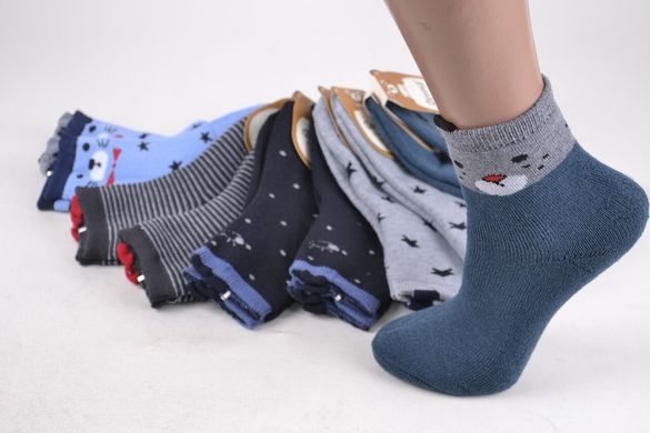 Дитячі термо-шкарпетки на хлопчика МАХРА бавовна (FEC3353/20-25) | 10 пар