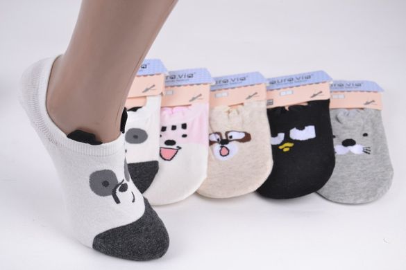 Жіночі Шкарпетки-Сліди "AURA" Cotton (Арт. NDD6217/38-41) | 5 пар