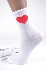 Жіночі шкарпетки з написом (Арт. PT1592) | 12 пар