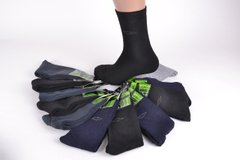 Шкарпетки чоловічі МАХРА нар. 41-47 (B218) | 12 пар