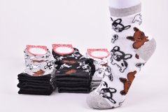 Шкарпетки жіночі з малюнком ХЛОПОК (Арт. ME32127) | 12 пар