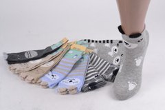 Детские носки на девочку "Фенна" ХЛОПОК (FEC010/20-25) | 10 пар