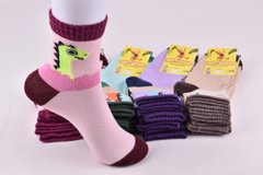 Шкарпетки дитячі на дівчинку "Житомир" бавовна (Арт. OAM344) | 12 пар