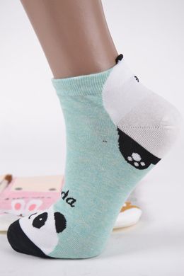 Жіночі шкарпетки "AURA" Cotton (Арт. NDP6223/35-38) | 5 пар
