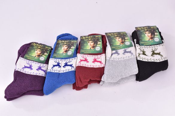 Шкарпетки жіночі махрові "ДУКАТ" бавовна (Арт. PTM181) | 12 пар